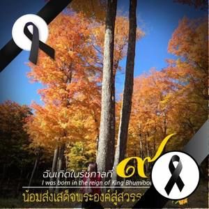 Meet your Posher, Latchaw